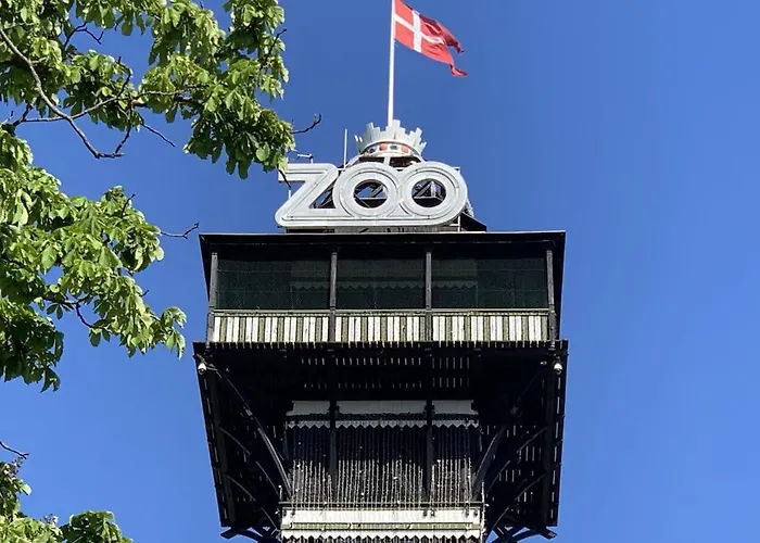 10 Person In The Heart Of Koppenhága